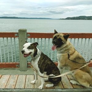 Meet your Posher, Alexis